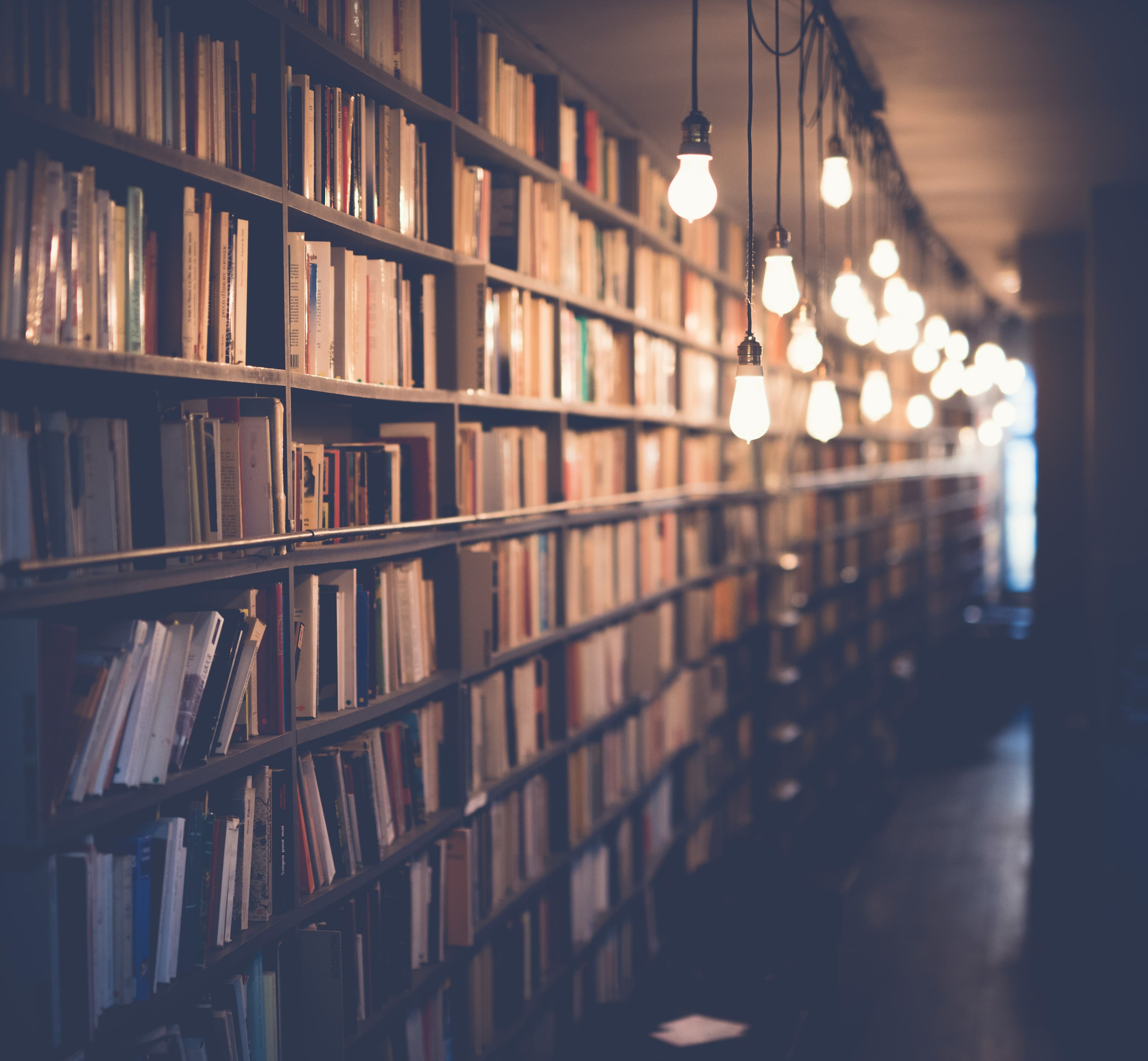 Bibliotheca Chudyana